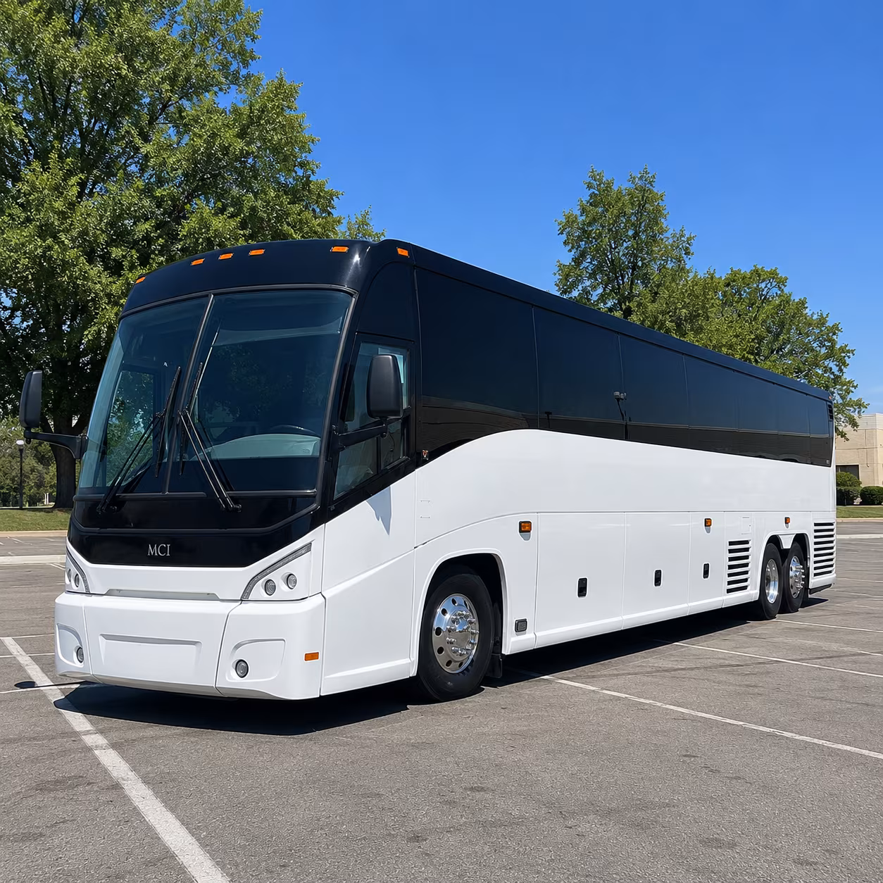 if your group is heading to rocky point a charter bus makes the border run simple